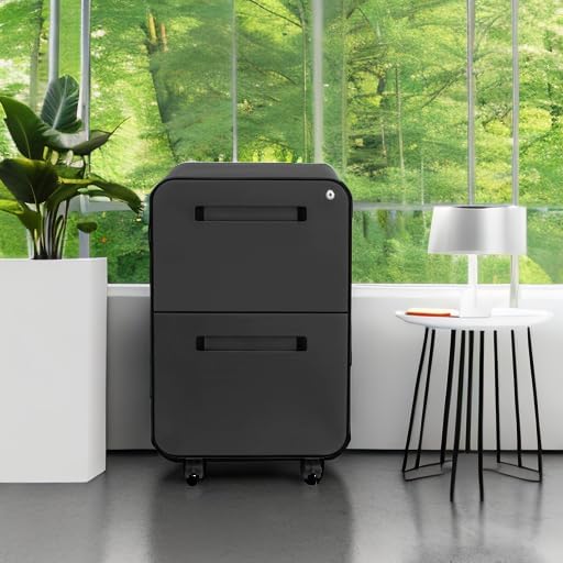 Laura Davidson Furniture Stockpile 2 Drawer Mobile File Cabinet with Lock - Under Desk Metal Filing Cabinet Legal/Letter File Folders Wheels and Stationary Feet Pre-Assembled Black