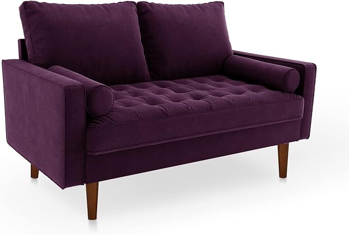 SILKIR Velvet Loveseat Sofa Love Seats Furniture for Small Spaces Mid-Century Modern Loveseats for Living Room Love Seat Couch 58 Inches Eggplant