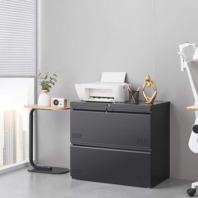 2 Drawer File Cabinet File Cabinets for Home Office Printer Stand File Cabinet with Lock Lateral Filing Cabinet for A4/Letter/Legal Size File Folders Assembly Required(Black)