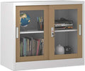 File Cabinet Glass Sliding Door File Cabinet with Lock File Cabinet Information Cabinet Under Desk Storage(Color:B)