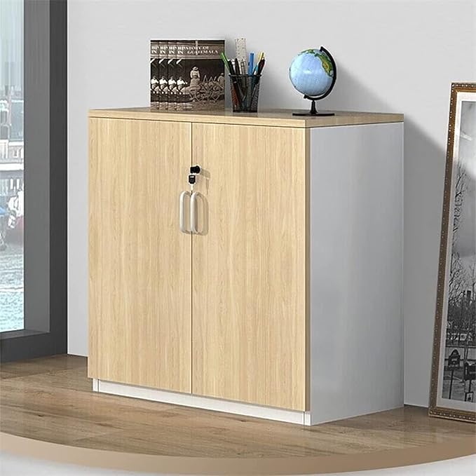 File Cabinet Wooden File Cabinet with Lock Double Door Storage Cabinet Home Office Cabinet Wooden Office Furniture