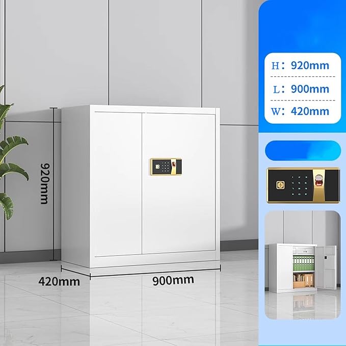 Steel Combination File Cabinet Office Fingerprint with Lock File Information Storage Cabinets Tin Cupboards(D)