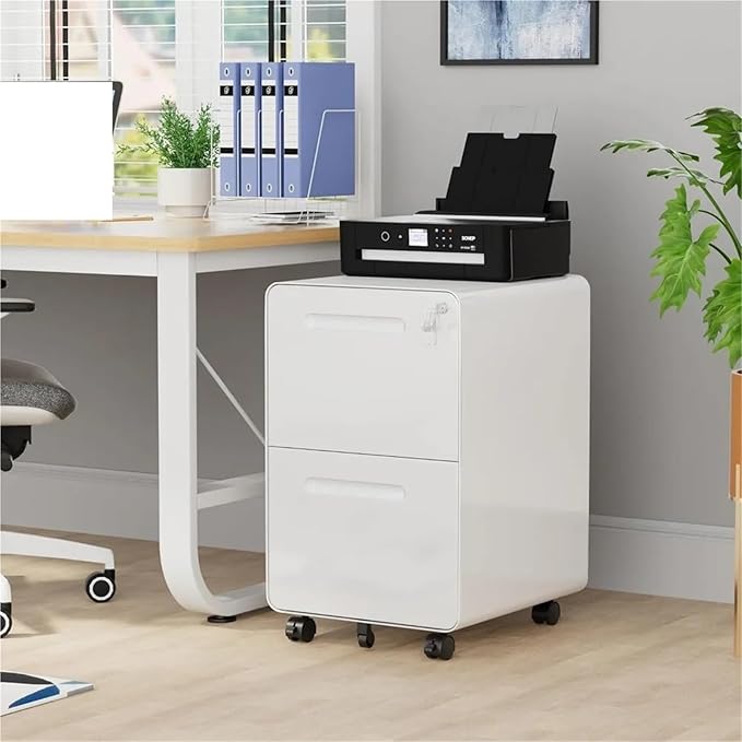 Mobile File Cabinet 2 Drawer File Cabinet with Lock and 4 Keys Mobile Metal Filing Cabinet File Cabinets for Home Office Under Desk Pre-Assembly(Black)