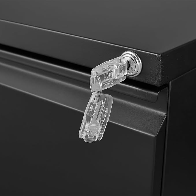 Lateral File Cabinet with 2 Drawers Lockable Metal Stainless Steel Filing Cabinet for Legal/Letter A4 Size Heavy Duty Rolling Home Office Under Desk Organizer Storage Black
