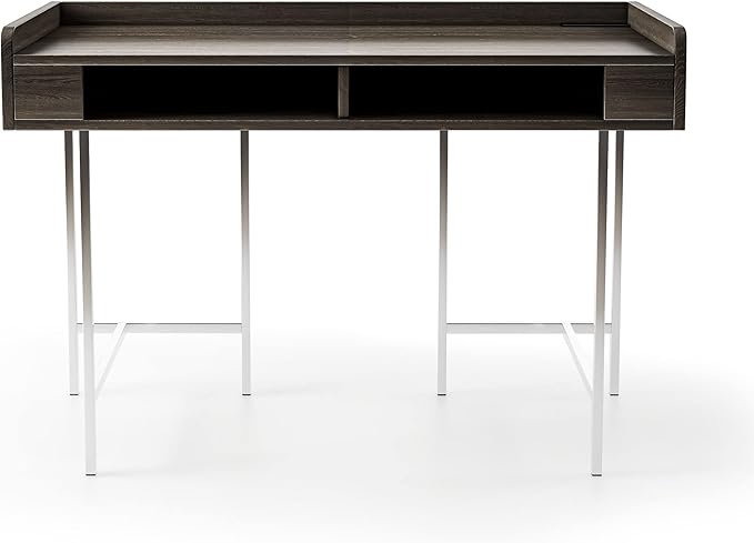 HOMES: Inside + Out Bratenahl Modern Metal 48 in. Writing Desk with USB Port Electrical Outlet for Home Office Brown and Chrome