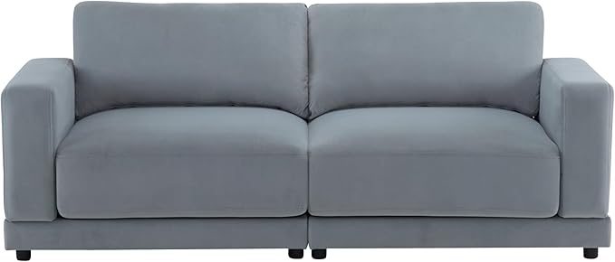 Merax 81'' Modern 2 Seater Arm Sofa with Soft Fabric UpholsteryLoveseat for Small Spaces Durable Frame Easy Assembly Couches for Apartments &amp Living RoomsGray