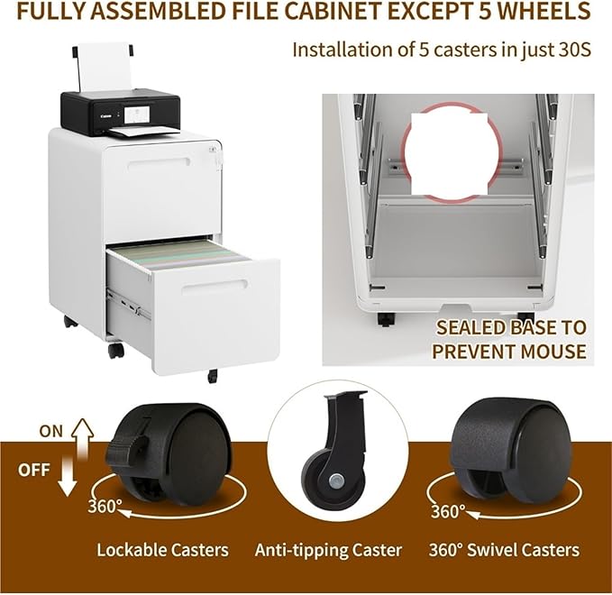 Mobile File Cabinet 2 Drawer File Cabinet with Lock and 4 Keys Mobile Metal Filing Cabinet File Cabinets for Home Office Under Desk Pre-Assembly(Black)