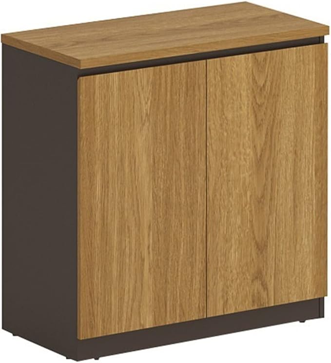 HASMI Filing Cabinet File Cabinet Office with Drawers with Lock Low Cabinet Wooden Data Storage Cabinet Filing Cabinet Partition Side Cabinet Storage Cabinet (Color : XW-0827-0.8m) yuqing2022