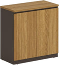 GLigeT Filing Cabinet File Cabinet Office with Drawers with Lock Low Cabinet Wooden Data Storage Cabinet Filing Cabinet Partition Side Cabinet File Storage Cabinets (Color : XW-0827-0.8m)
