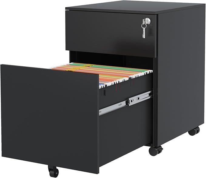 Black Mobile File Cabinet with Lock 2 Drawers 5 Wheels Rectangular Steel Portable Filing Cabinet Traditional for Office Study Room