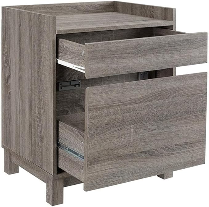 Riverbay Furniture Modern Filing Cabinet 2-Drawer Wood Frame Gray Veneer Finish Compact Office Storage with Hanging File Drawer and Printer Stand 27.13 in H x 22 in W x 17 in D
