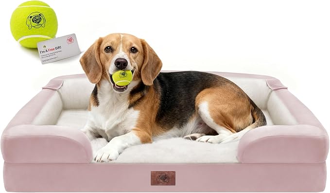 Orthopedic Dog Beds for Large Medium Dogs Big Waterproof Memory Foam Pet Couch Bed with Removable Washable Cover Tennis Ball Toy 36x27