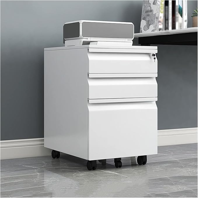 HASMI Filing Cabinet Metal Cabinet File Cabinet Low Cabinet Office Data File Activity Storage Three Drawer Cabinet with Lock Cabinet Storage Cabinet (Size : 2) yuqing2022