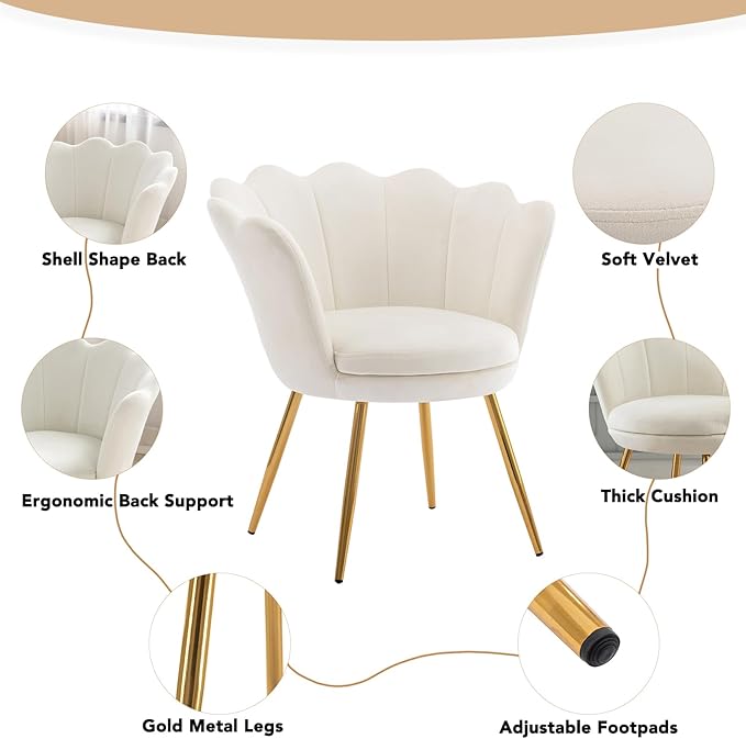 chairus Cream White Makeup Vanity Chair with Back Small Modern Velvet Upholstered Accent Chair with Gold Metal Legs Cute Shell Shaped Vanity Stool Desk Chair for Living Room Bedroom Dressing Room