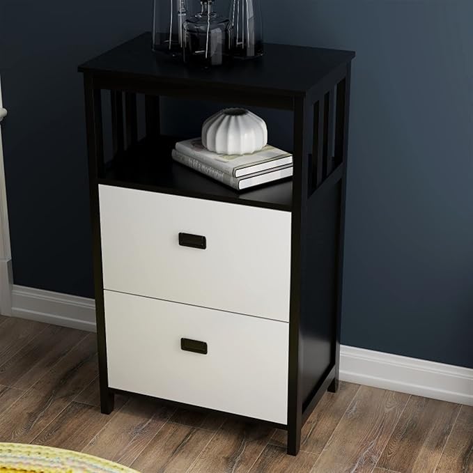 HASMI Filing Cabinet 2 Drawer Vertical File Cabinet with Open Storage Shelves Modern File Cabinet Lateral Filing Cabinet for Home Office Furniture Storage Cabinet