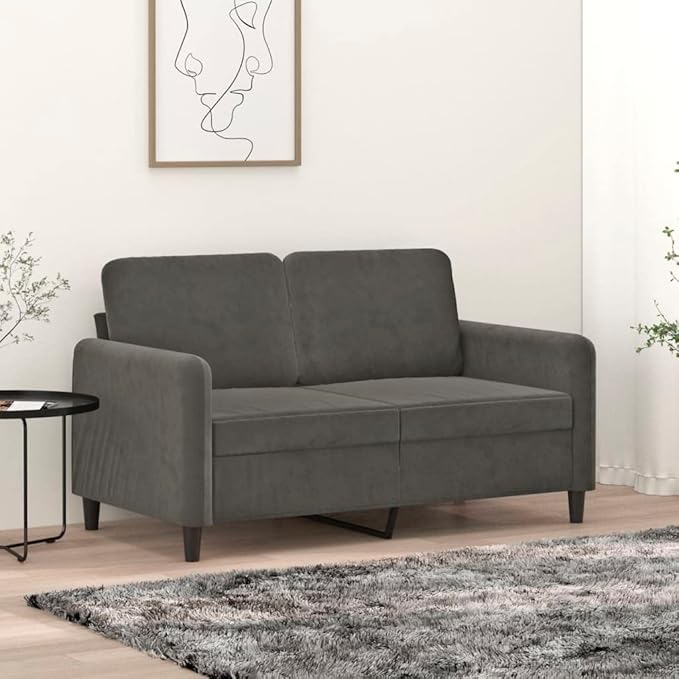 vidaXL 47.2 Durable 2-Seater Sofa in Dark Grey Velvet