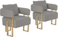 YITAI Modern Accent Chairs no Wheels Living Room Side Chairs Set of 2 with Golden Metal Legs Barrel Soft Teddyt Upholstered Reading Armchairs for OfficeReception RoomBedroomLoungeGrey