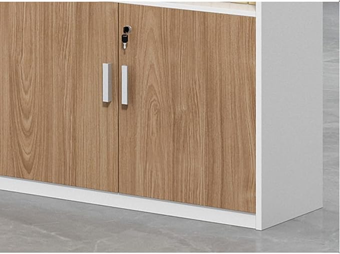 Filing Cabinet Storage Cabinet Low Cabinet Partition Cabinet Office Cabinet Data Cabinet Office Storage Cabinet File Cabinet Flower Slot Cabinet with Lock Storage Cabinet ( Color : 800*300*800 )