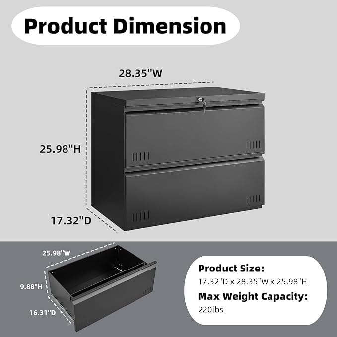 2 Drawer File Cabinet File Cabinets for Home Office Printer Stand File Cabinet with Lock Lateral Filing Cabinet for A4/Letter/Legal Size File Folders Assembly Required(Black)