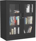 GLigeT Filing Cabinet Steel Filing Cabinet with Glass Door with Lock Locker for OfficeLiving RoomBedroomKitchen Storage Cabinet File Storage Cabinets