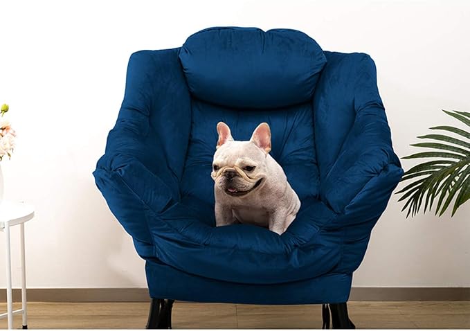 HollyHOME Lazy Chair with Armrest and Side Pocket Comfy Accent Lounge ChairLeisure Sofa Armchair for Living Room Bedroom Dorm or Small Spaces Oversized Reading Sofa ChairVelvet Royal Blue