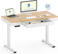 FLEXISPOT Q5 Standing Desk with Drawer 48 x 24 Inch Electric Adjustable Height Stand Up Desk with Storage Organizer Whole Piece Wooden Desktop for Home Office Computer Workstation Maple