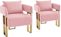 YISHENG Modern Barrel Accent Chairs Set of 2 Living Room Side Chairs with Golden Metal Legs Velvet Upholstered Reading Armchairs no Wheels for Vanity/Reception Room//Bedroom/Lounge/Office Pink
