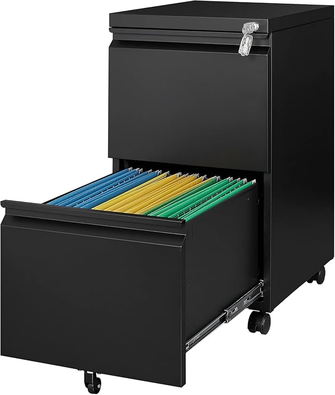 Letaya 2 Drawer Mobile File Cabinet with Lock Under Desk Metal Rolling Filing Cabinets for Home Office Organizer Letters/Legal/A4 (Black- Requires Installation)