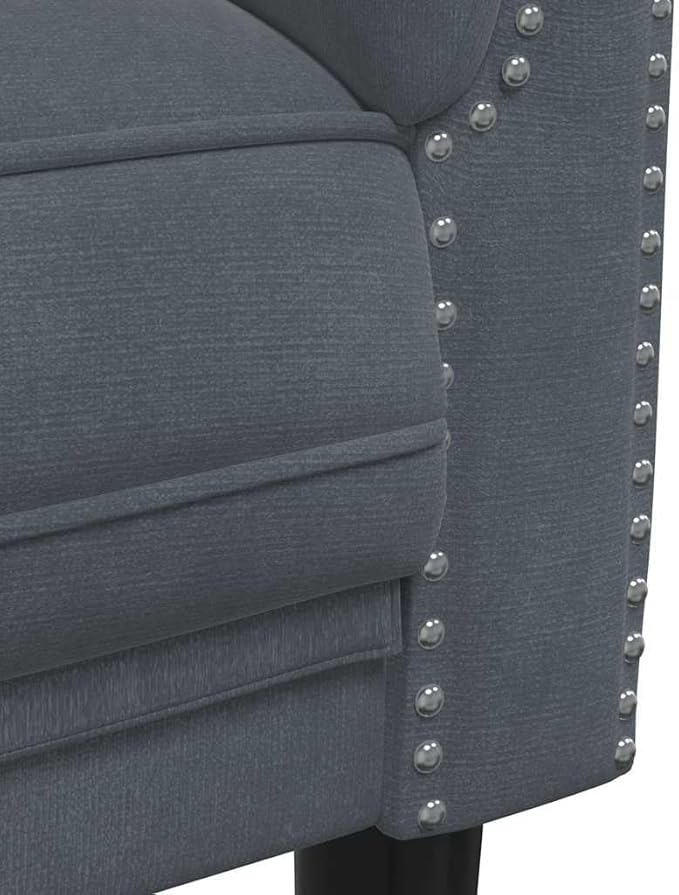 vidaXL Dark Gray Velvet 2-Seater Upholstered Loveseat - Comfortable Modern Couch with Supportive Legs for Living Room