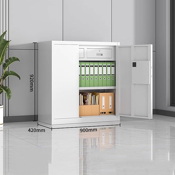 Steel Combination File Cabinet Office Fingerprint with Lock File Information Storage Cabinets Tin Cupboards(D)