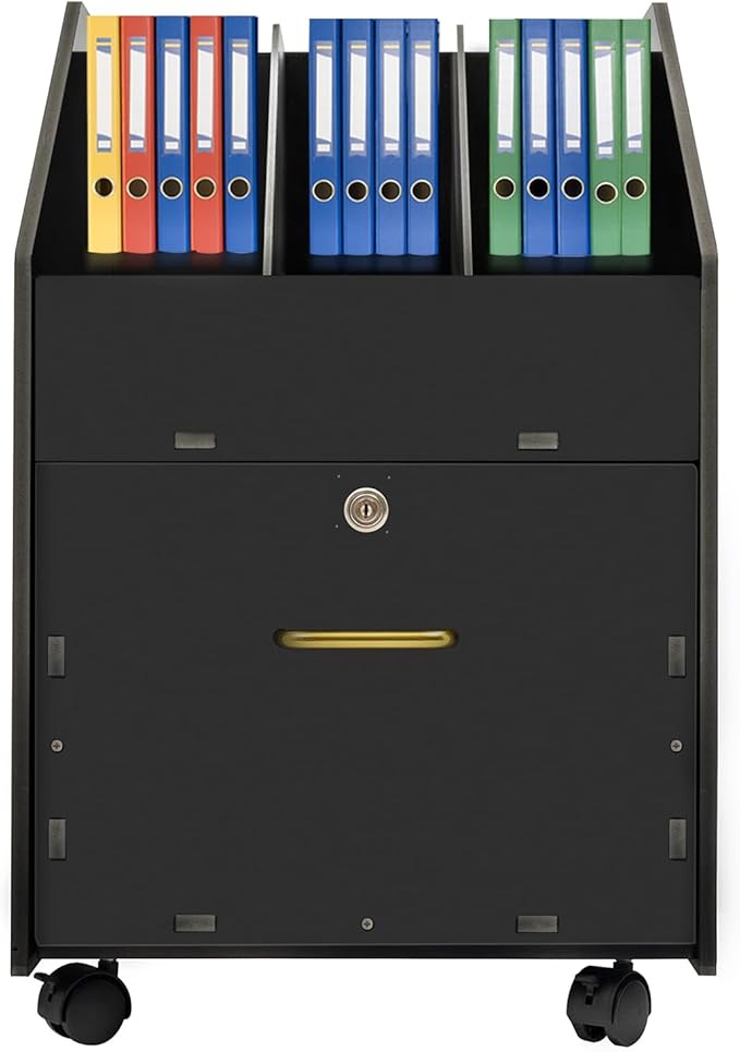 DouSeiAi Mobile PVC File Cabinet with Lock Under Desk Rolling File Cabinets for Home Office Classrooms (Black)