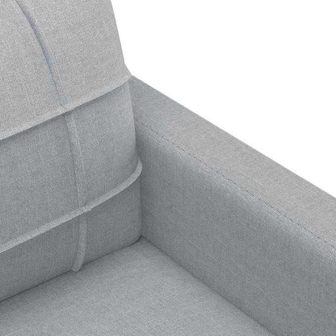 vidaXL Fabric Sofa 2-Seater Lounge Couch with Metal Frame Modern Light Gray Fabric Sofa for Living Room Lounge Bedroom Indoor Use Dimensions: 62.2 x 30.3 x 31.5