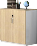 File Cabinet Wooden File Cabinet Two Door Storage Cabinet with Lock Office Cabinet for Home Office