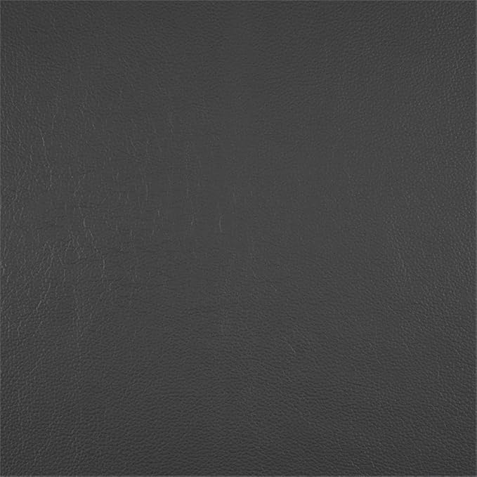 Lexicon Laconia Leather Double Reclining Sofa in Dark Gray