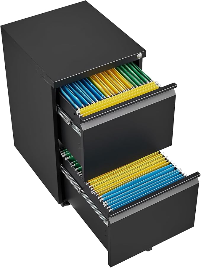 Lateral File Cabinet with 2 Drawers Lockable Metal Stainless Steel Filing Cabinet for Legal/Letter A4 Size Heavy Duty Rolling Home Office Under Desk Organizer Storage Black