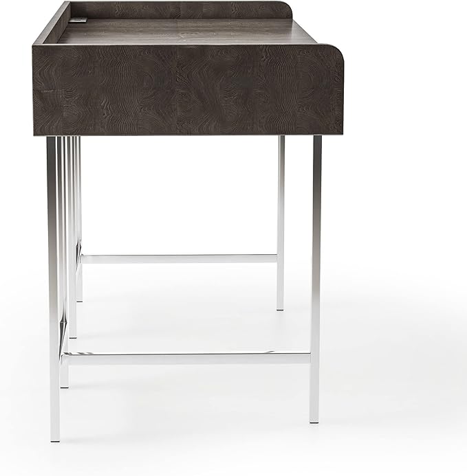 HOMES: Inside + Out Bratenahl Modern Metal 48 in. Writing Desk with USB Port Electrical Outlet for Home Office Brown and Chrome