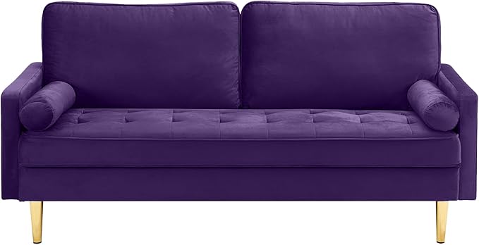 65'’ Velvet Upholstered Loveseat Sofa with Gold Metal Legs Modern Tufted Backrest Couch Solid Wood Frame for Living Room BedroomApartmentOfficeSmall Space (Purple)