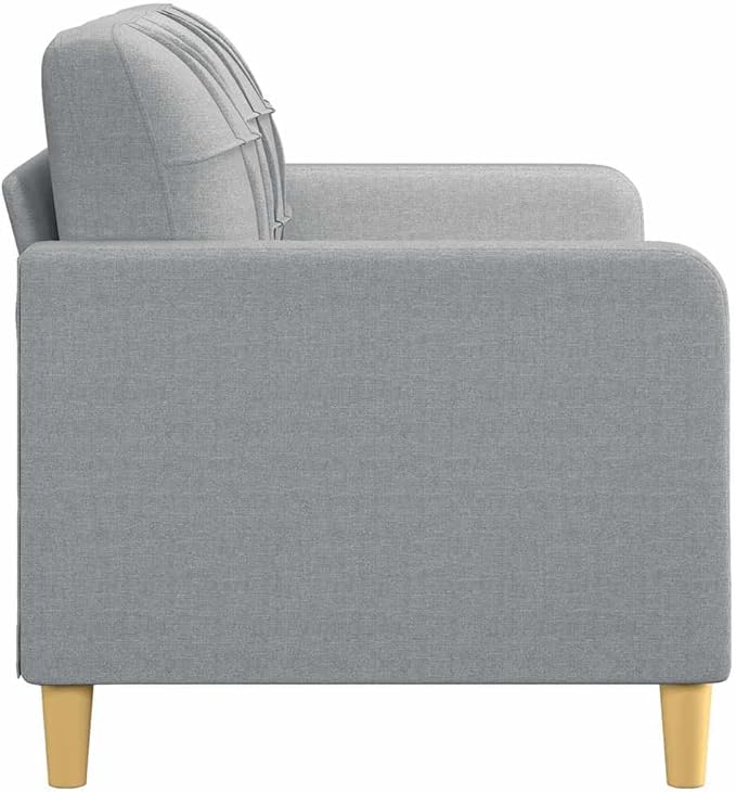 vidaXL Fabric Sofa 2-Seater Lounge Couch with Metal Frame Modern Light Gray Fabric Sofa for Living Room Lounge Bedroom Indoor Use Dimensions: 62.2 x 30.3 x 31.5