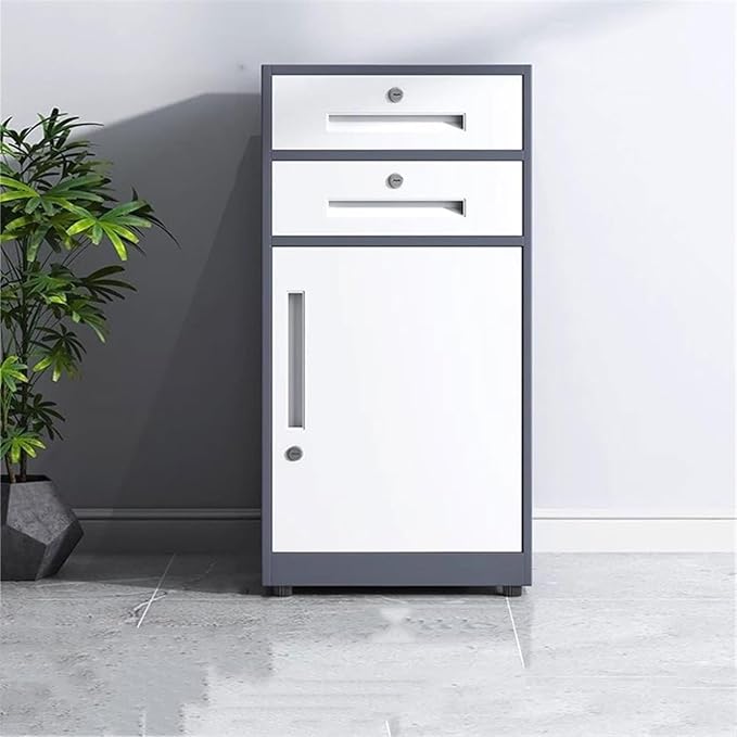 Large Capacity File Storage Cabinet Thickened Steel Office Organizer with Smooth Gliding Drawers Modern Locking Cabinet for Documents Printer Supplies (Gris)