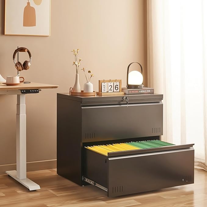 2 Drawer File Cabinet File Cabinets for Home Office Printer Stand File Cabinet with Lock Lateral Filing Cabinet for A4/Letter/Legal Size File Folders Assembly Required(Black)