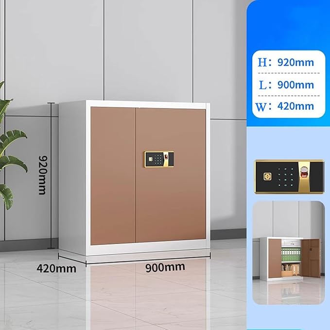 Steel Combination File Cabinet Office Fingerprint with Lock File Information Storage Cabinets Tin Cupboards(B)