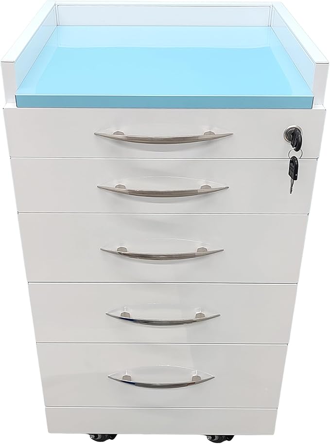 Storage Cabinet Office Mobile File Cabinet 4 Drawers Utility Mobile Lockable Cabinet Stainless Steel Moving Side Cabinet Portable Storage Device with Brake Wheels and 2 Divider Brackets