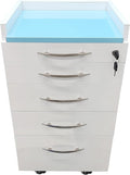 Storage Cabinet Office Mobile File Cabinet 4 Drawers Utility Mobile Lockable Cabinet Stainless Steel Moving Side Cabinet Portable Storage Device with Brake Wheels and 2 Divider Brackets