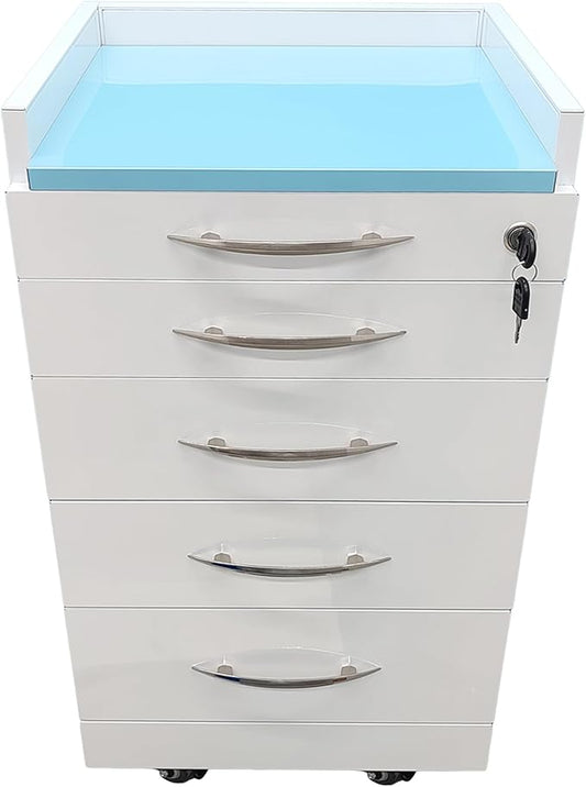 Storage Cabinet Office Mobile File Cabinet 4 Drawers Utility Mobile Lockable Cabinet Stainless Steel Moving Side Cabinet Portable Storage Device with Brake Wheels and 2 Divider Brackets