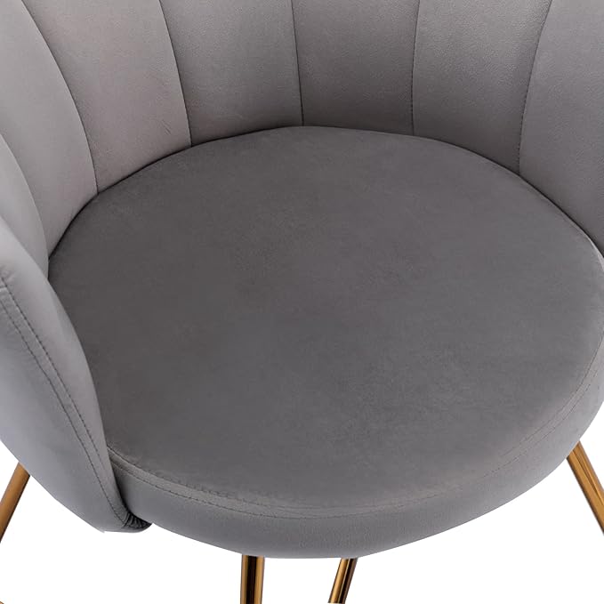 Velvet AccentConversation Lounge Chair with Iron Metal Gold Plated Legs Suitable for Office Lounge Living Room Set of 2 Grey