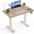 40 * 24 Electric Standing Desk Adjustable Height Sit Stand Up Desk Motorized Home Office Computer Gaming Workstation Desk