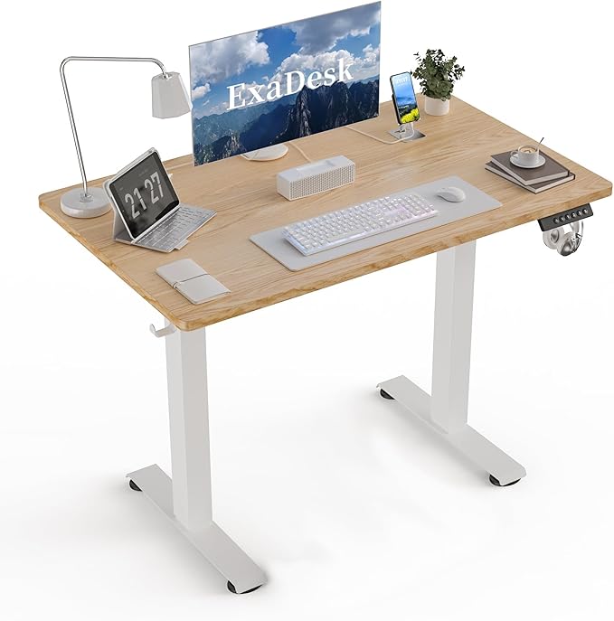 40 * 24 Electric Standing Desk Adjustable Height Sit Stand Up Desk Motorized Home Office Computer Gaming Workstation Desk