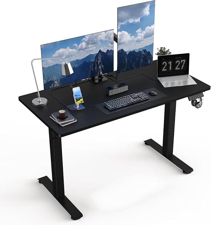 48 * 24 Electric Standing Desk Adjustable Height Sit Stand Up Desk Motorized Home Office Computer Gaming Workstation Desk