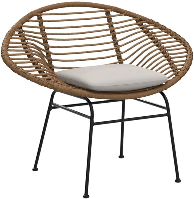 Christopher Knight Home Aleah Indoor Woven Faux Rattan Chairs with Cushions (Set of 2) Light Brown and Beige Finish