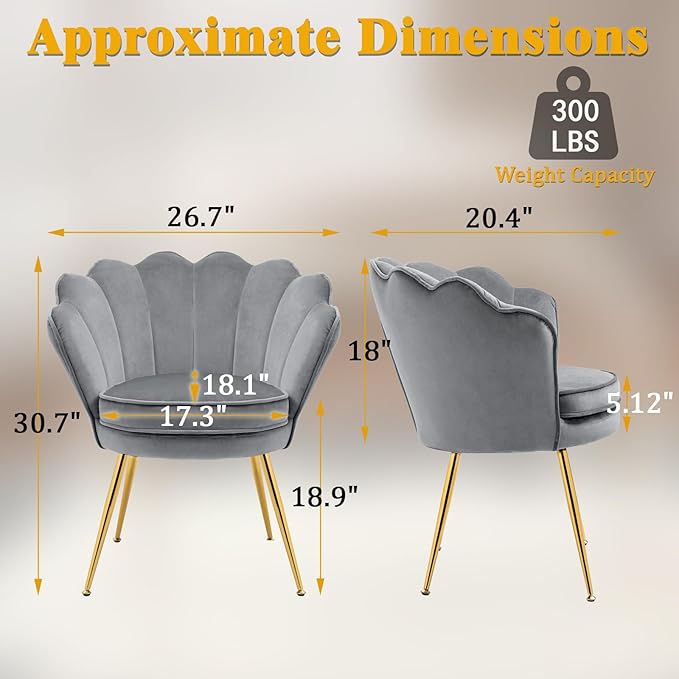 Accent Chairs Set of 2 for Living Room Velvet Upholstered Makeup Room Vanity Chair with Back Golden Metal Legs Small Accent Side Chair for Bedroom Cloud Chair Set 2 Pcs Light Grey
